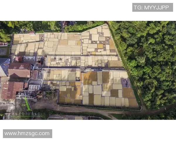 墨西哥与萨尔瓦多2017年激战回顾及精彩瞬间分析